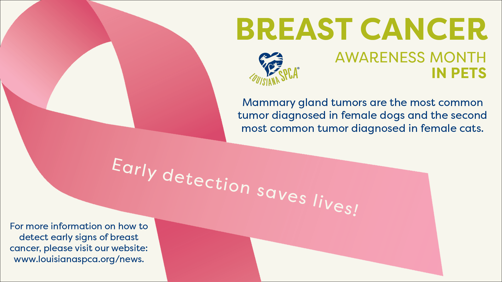 Breast cancer Information